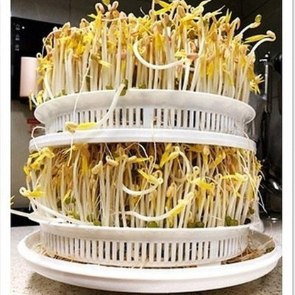 Bean Sprouts Machine Cultivating Tools Green Easy & Quick 3 Layers Bean Sprout Germination Machine · Dondepiso